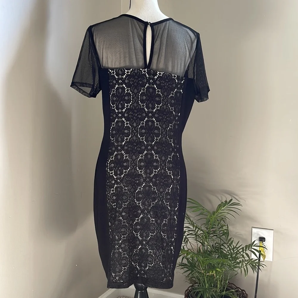 Julienne W   Sheer and Lacy Little Black Dress   Short Sleeves XL